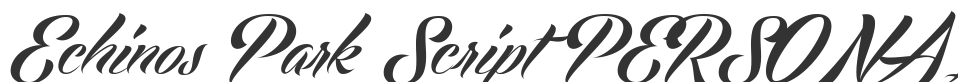 Echinos Park Script PERSONAL USE ONLY font preview