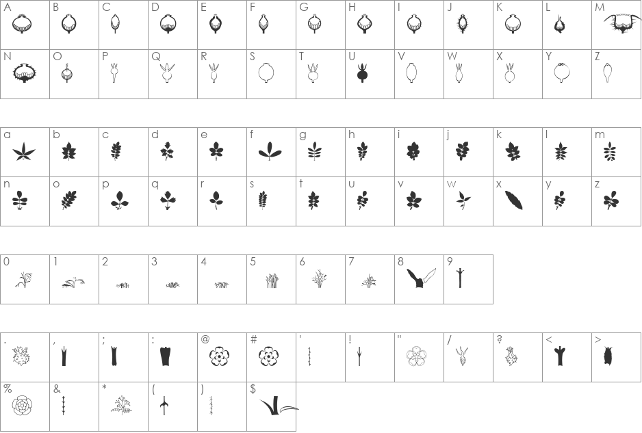 BOTAROSA1 font character map preview