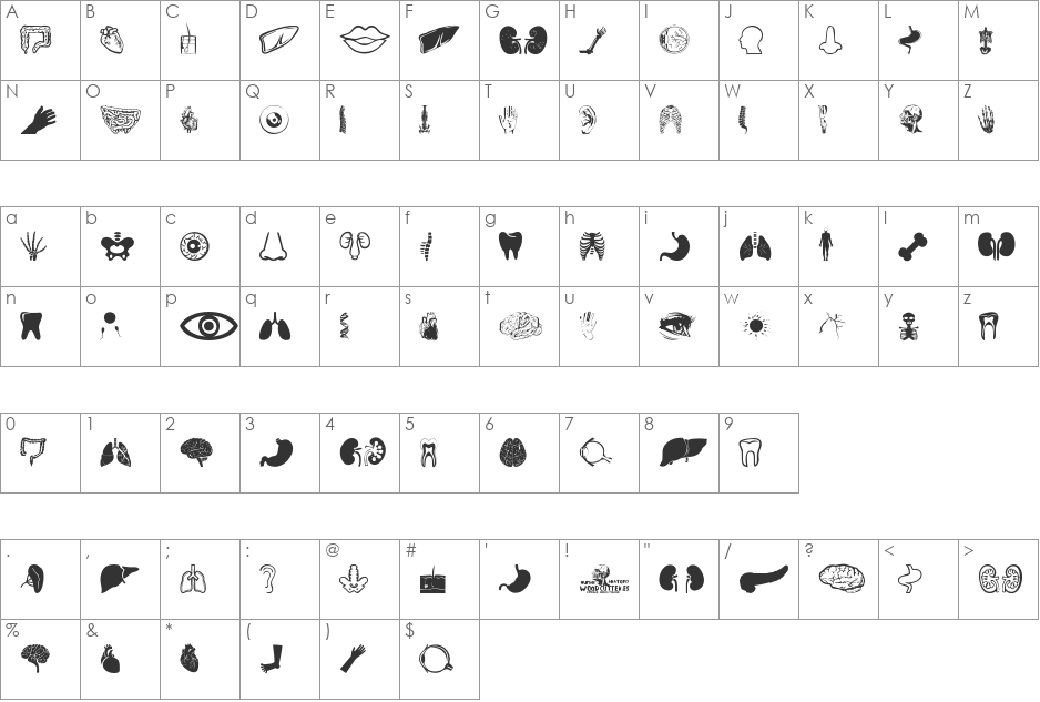 Human Anatomy font character map preview